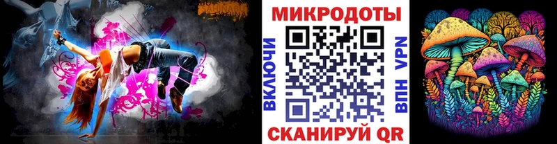 Псилоцибиновые грибы Psilocybine cubensis  Магнитогорск 